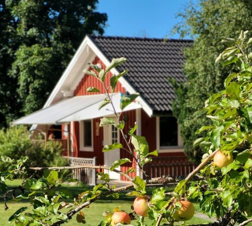 Ferienhäuser in Schweden. See, Angeln, Erholung, Entspannung, Urlaub